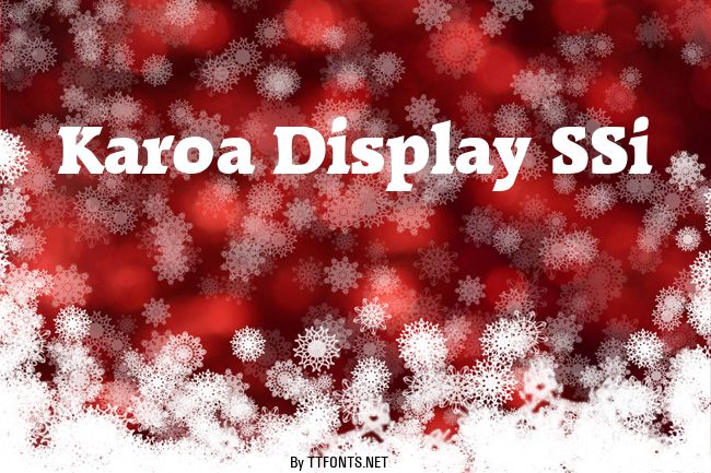 Karoa Display SSi example