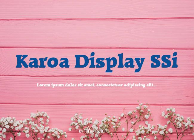 Karoa Display SSi example