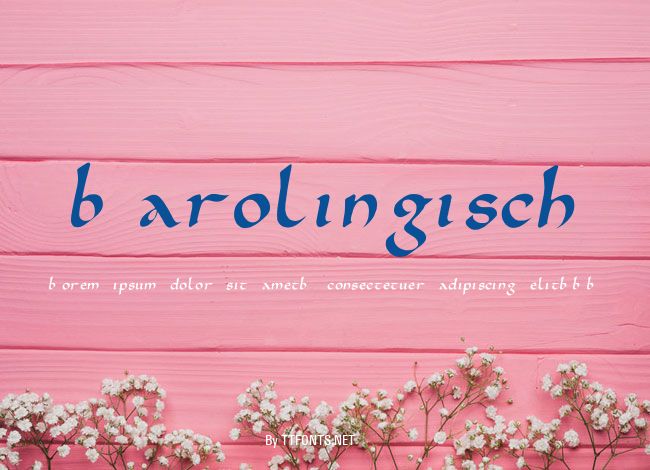 Karolingisch example