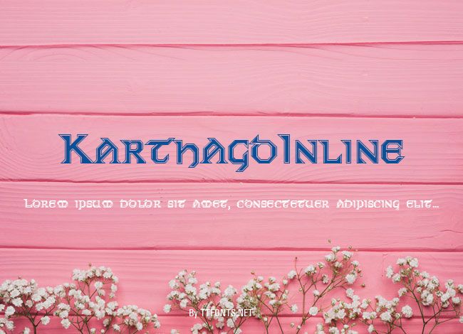 KarthagoInline example
