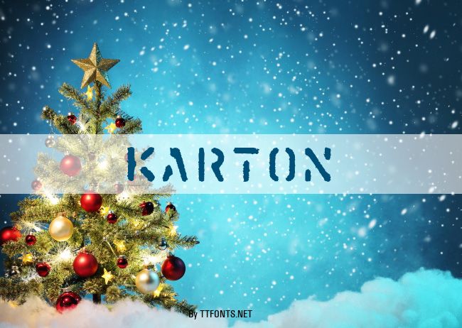 Karton example