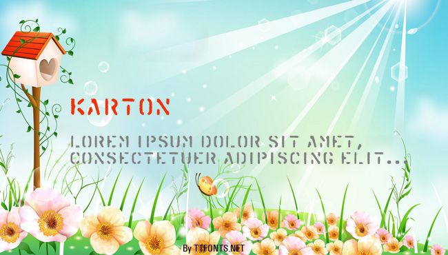 Karton example