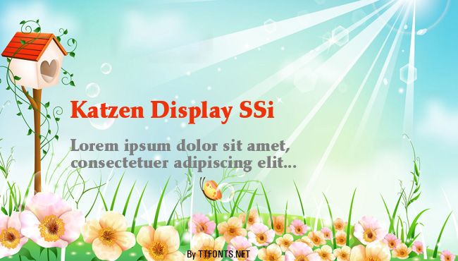 Katzen Display SSi example