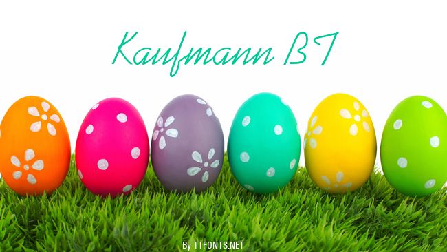 Kaufmann BT example