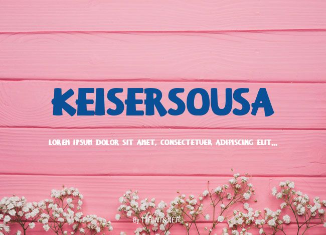 KeiserSousa example