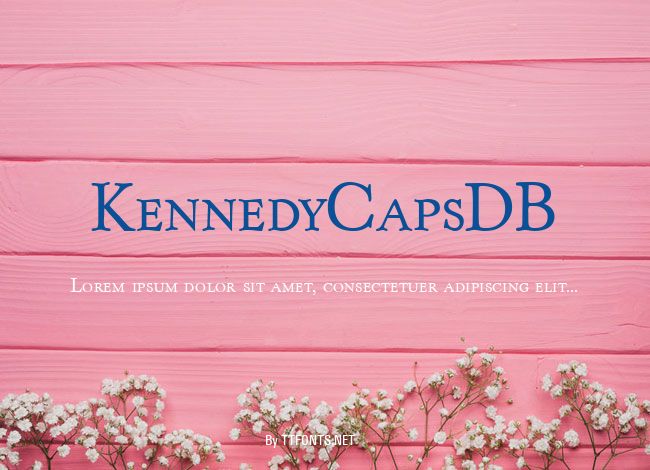 KennedyCapsDB example
