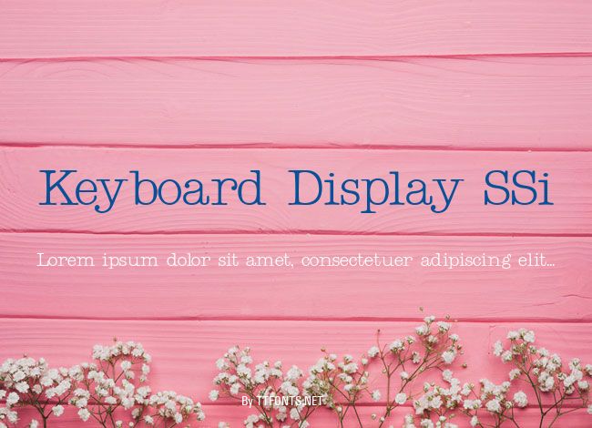 Keyboard Display SSi example