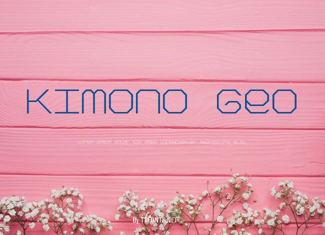 Kimono Geo example