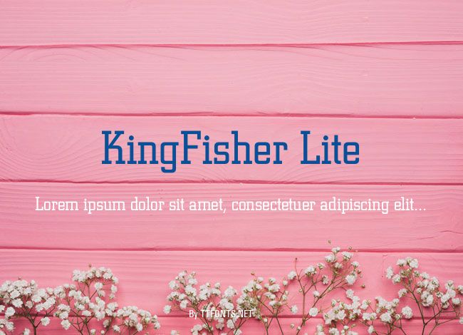 KingFisher Lite example