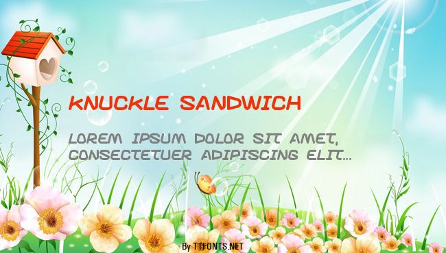 Knuckle sandwich example
