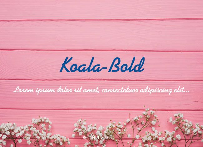 Koala-Bold example