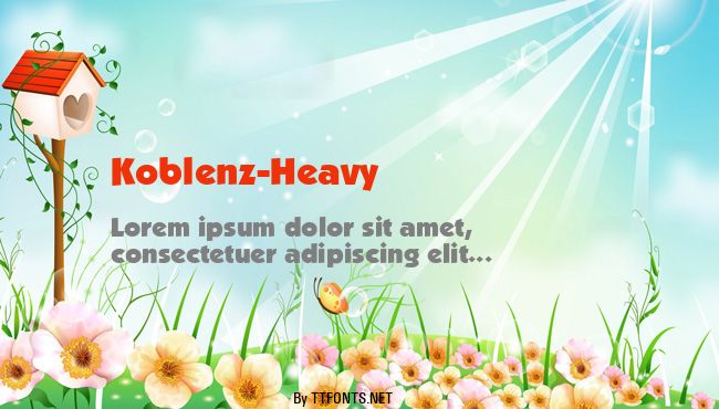 Koblenz-Heavy example