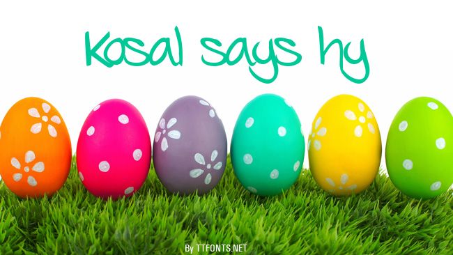 Kosal says hy example
