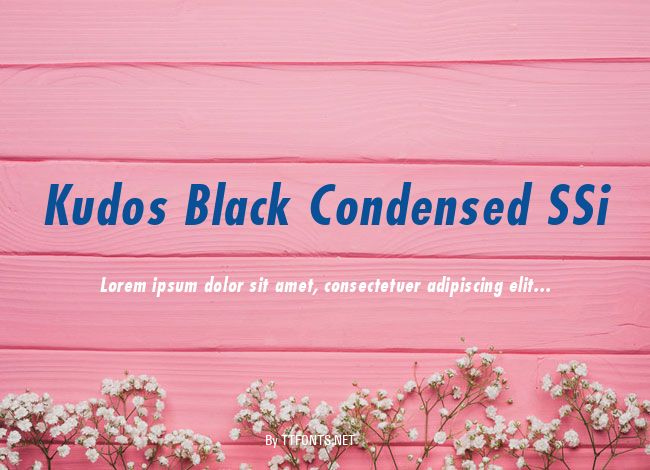 Kudos Black Condensed SSi example