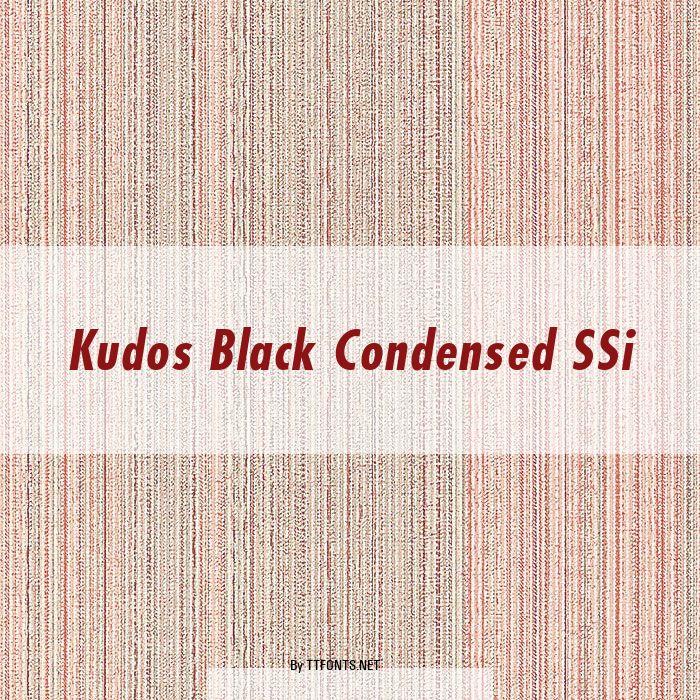 Kudos Black Condensed SSi example