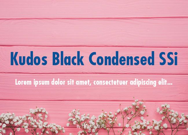 Kudos Black Condensed SSi example