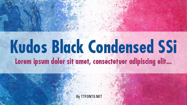 Kudos Black Condensed SSi example