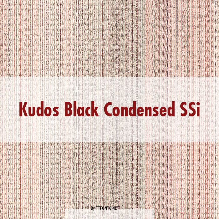 Kudos Black Condensed SSi example