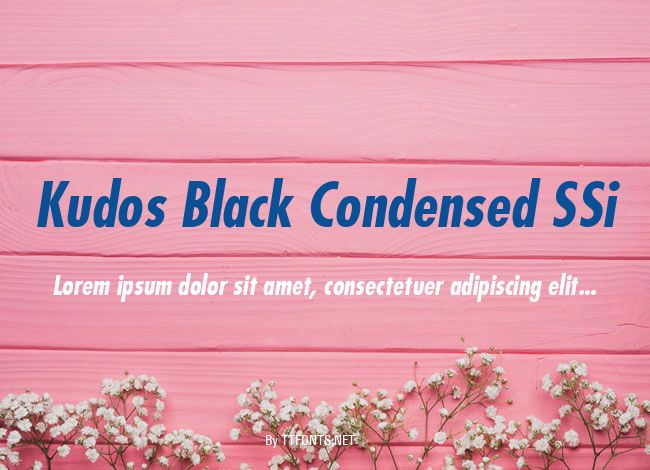 Kudos Black Condensed SSi example