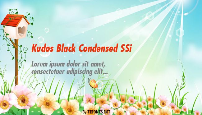 Kudos Black Condensed SSi example