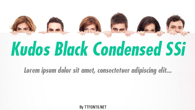 Kudos Black Condensed SSi example