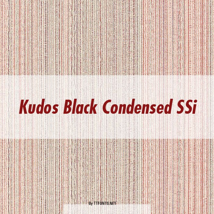 Kudos Black Condensed SSi example