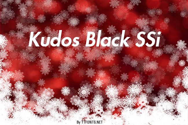 Kudos Black SSi example