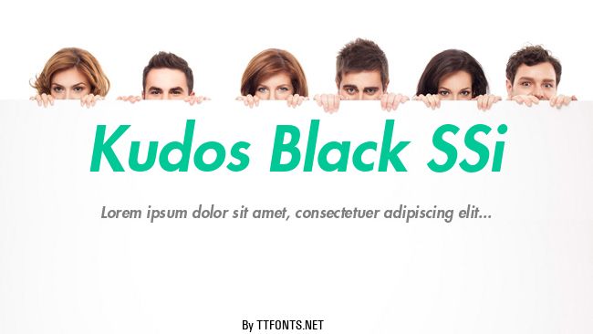 Kudos Black SSi example