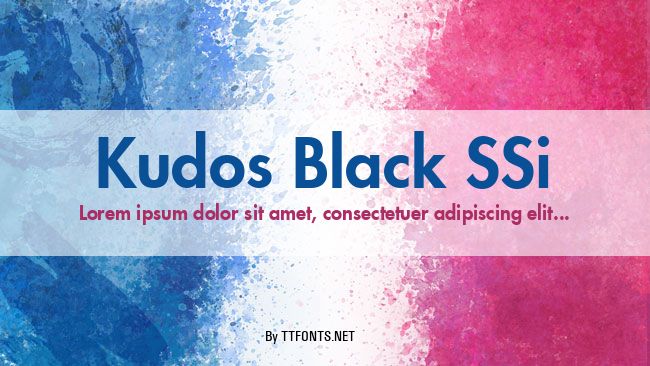 Kudos Black SSi example