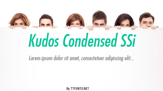Kudos Condensed SSi example