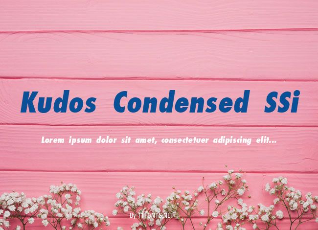 Kudos Condensed SSi example