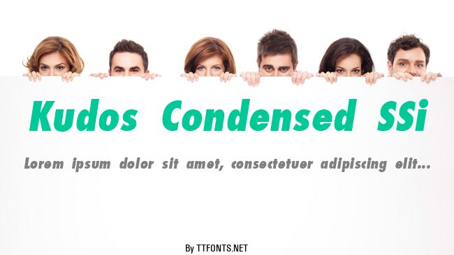Kudos Condensed SSi example