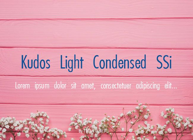 Kudos Light Condensed SSi example
