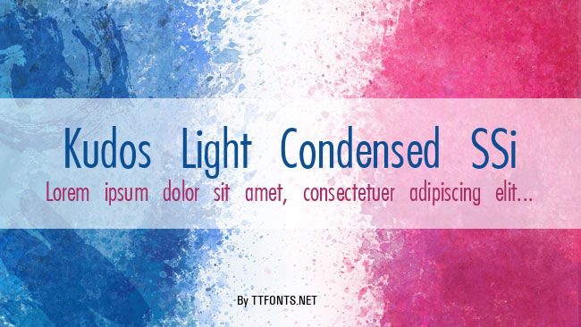 Kudos Light Condensed SSi example
