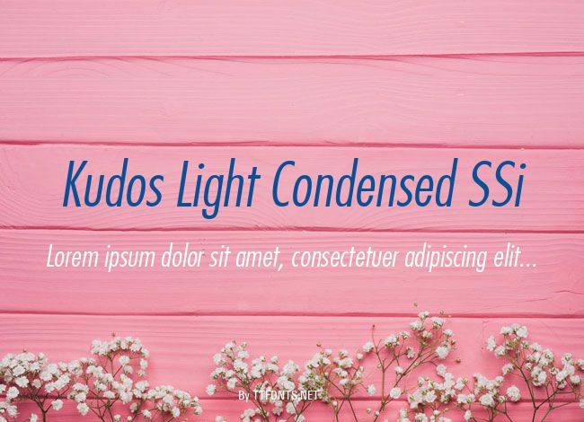 Kudos Light Condensed SSi example