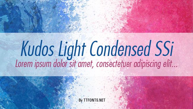 Kudos Light Condensed SSi example