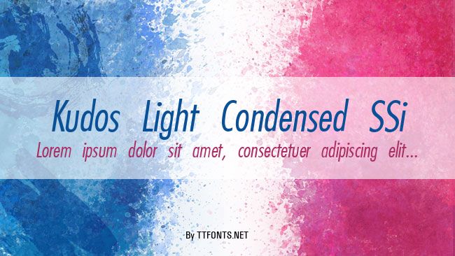 Kudos Light Condensed SSi example