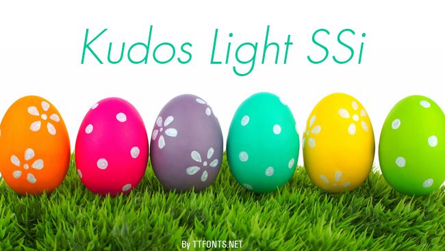 Kudos Light SSi example