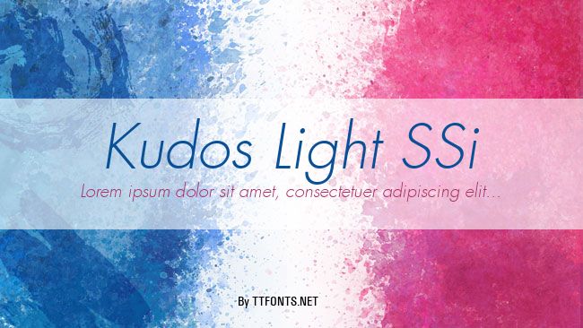 Kudos Light SSi example