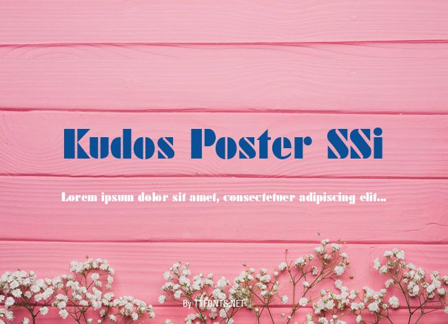 Kudos Poster SSi example