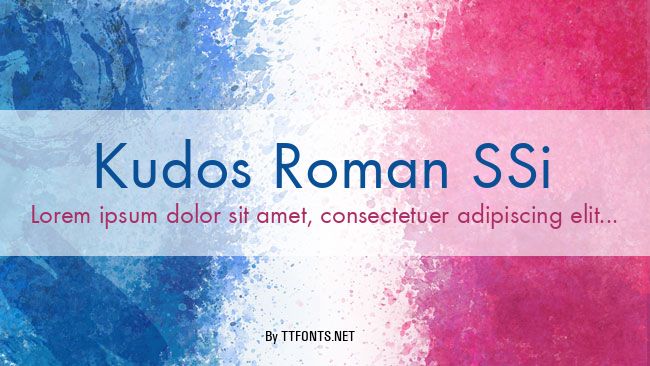 Kudos Roman SSi example