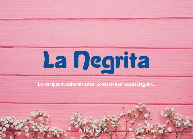La Negrita example