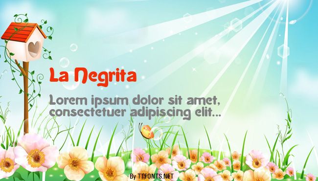 La Negrita example