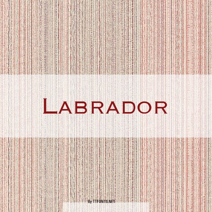 Labrador example