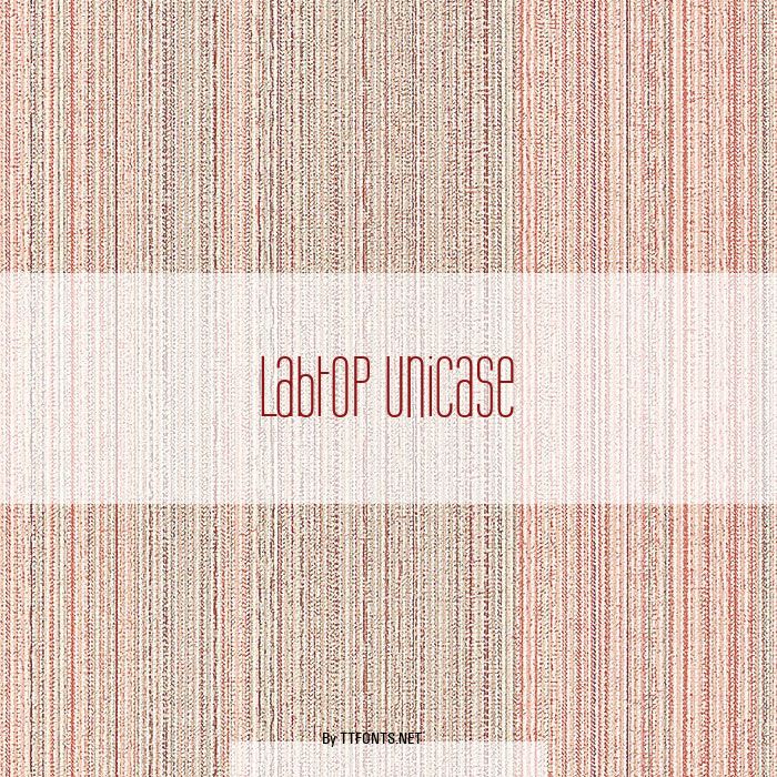 Labtop Unicase example
