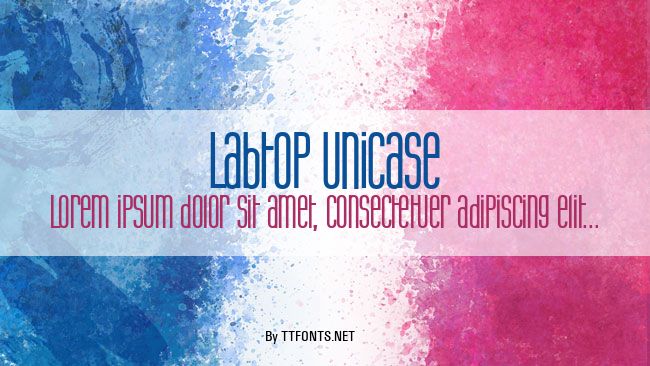 Labtop Unicase example