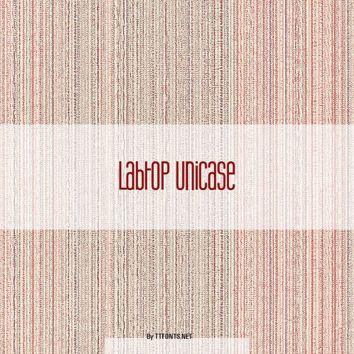 Labtop Unicase example