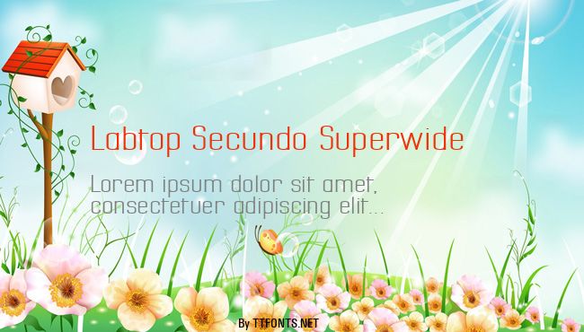 Labtop Secundo Superwide example