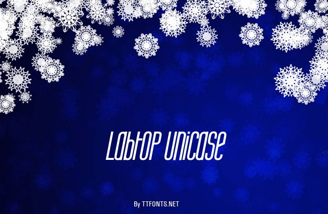 Labtop Unicase example