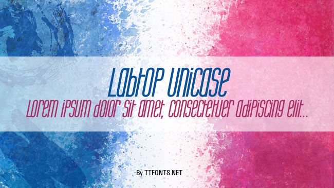 Labtop Unicase example
